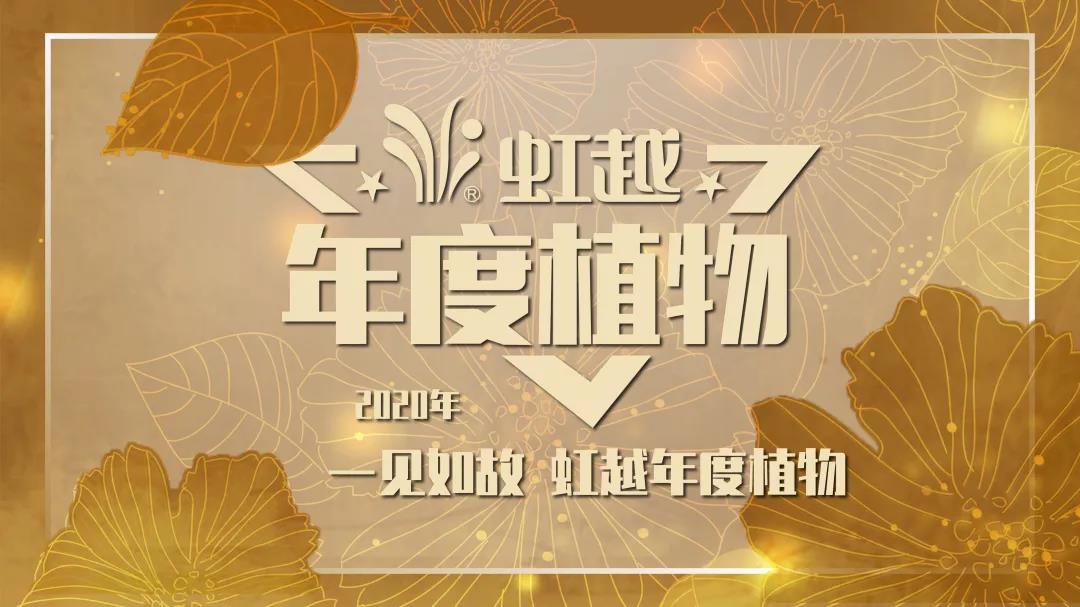 你好哇，2020乐竞体育年度植物！